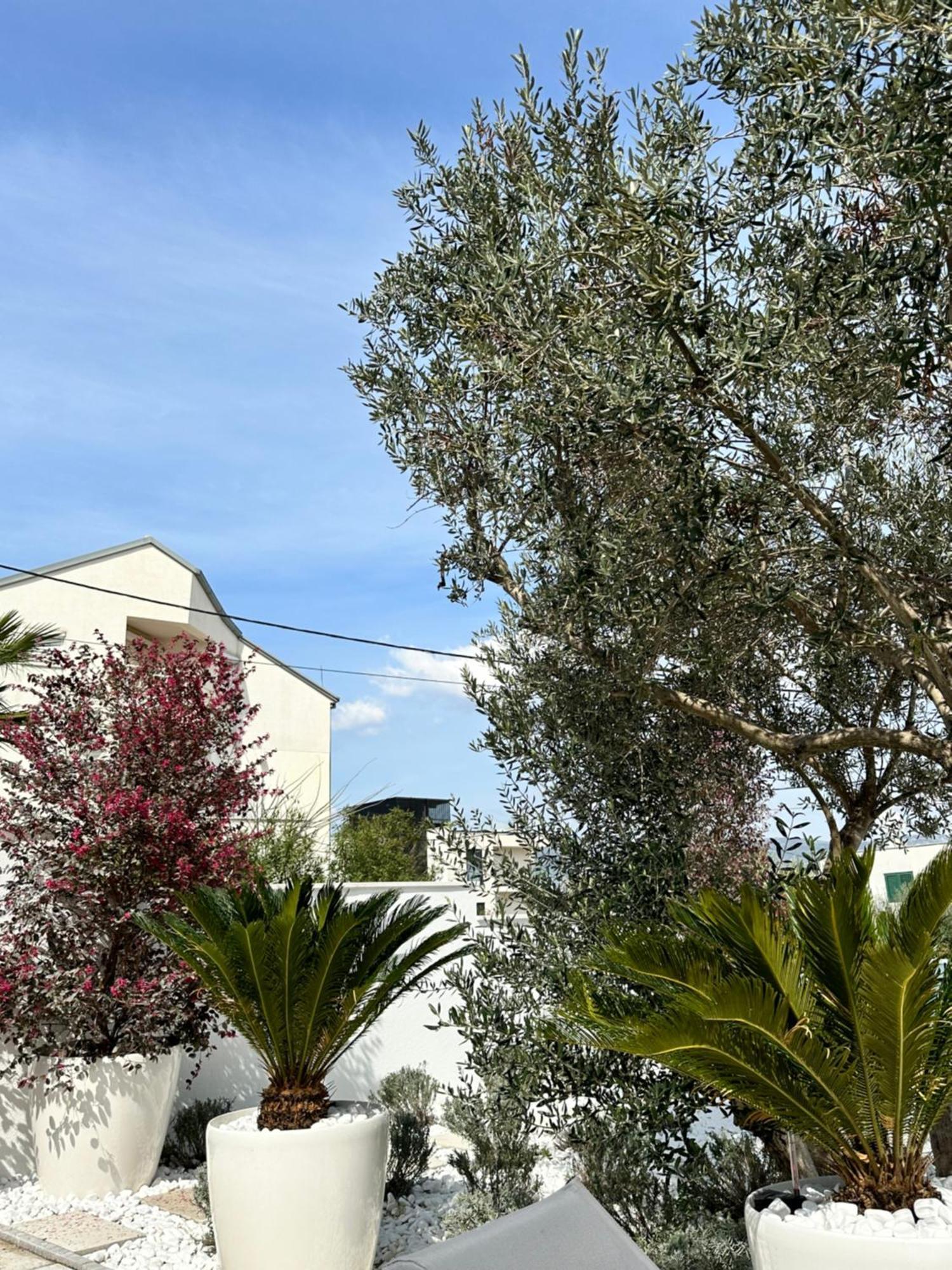 Apartments Marina トロギール エクステリア 写真